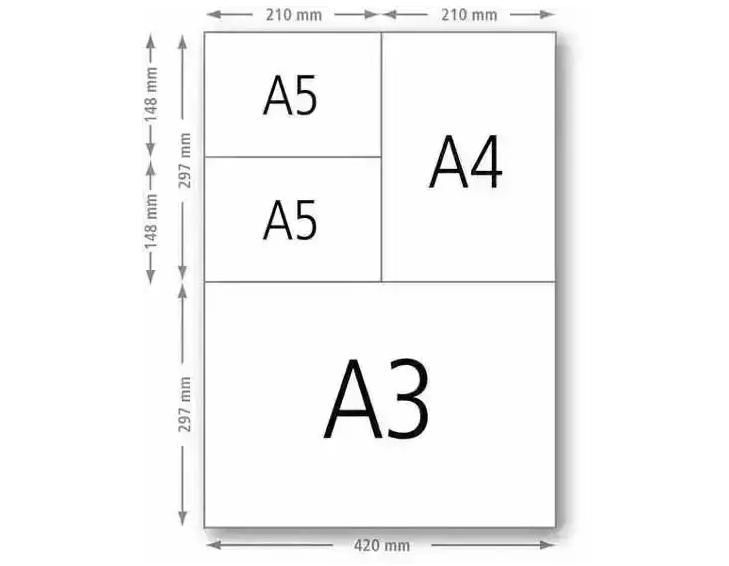 A3紙尺寸大小